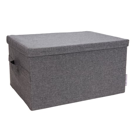 Bigso 収納ボックス フタつき 北欧デザイン | ボックスストレージ Mサイズ