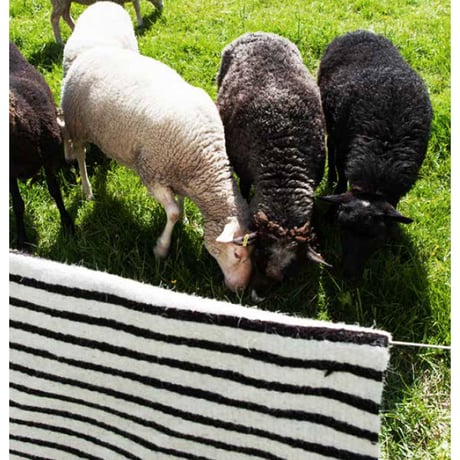 手織りラグ ボーダー柄 玄関・リビング 80x120cm Marine (マリン) | Tikau