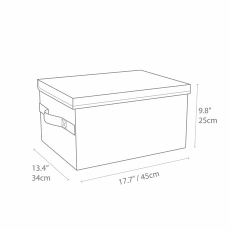Bigso 収納ボックス フタつき 北欧デザイン | ボックスストレージ Mサイズ