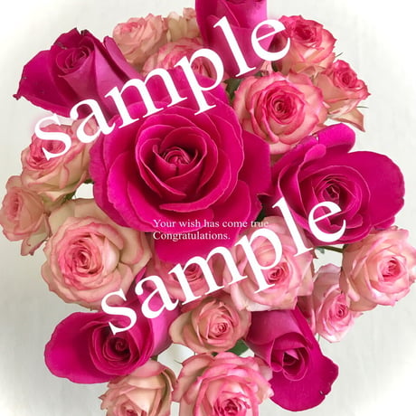 Rose of love🌹恋愛成就、願望実現を引き寄せる❤️ 前祝い待ち受け画像✨