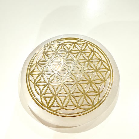 200★特選一石★エピドート入り♢【オーストラリア産☆天然プレナイトさざれ】❤️ 一点モノ 一点もの 宇宙 ギャラクシー 星 石質隕石 エネルギー