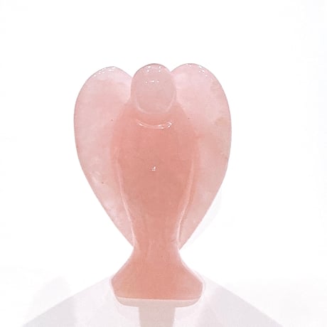 CATEGORY SALE | amo by ao