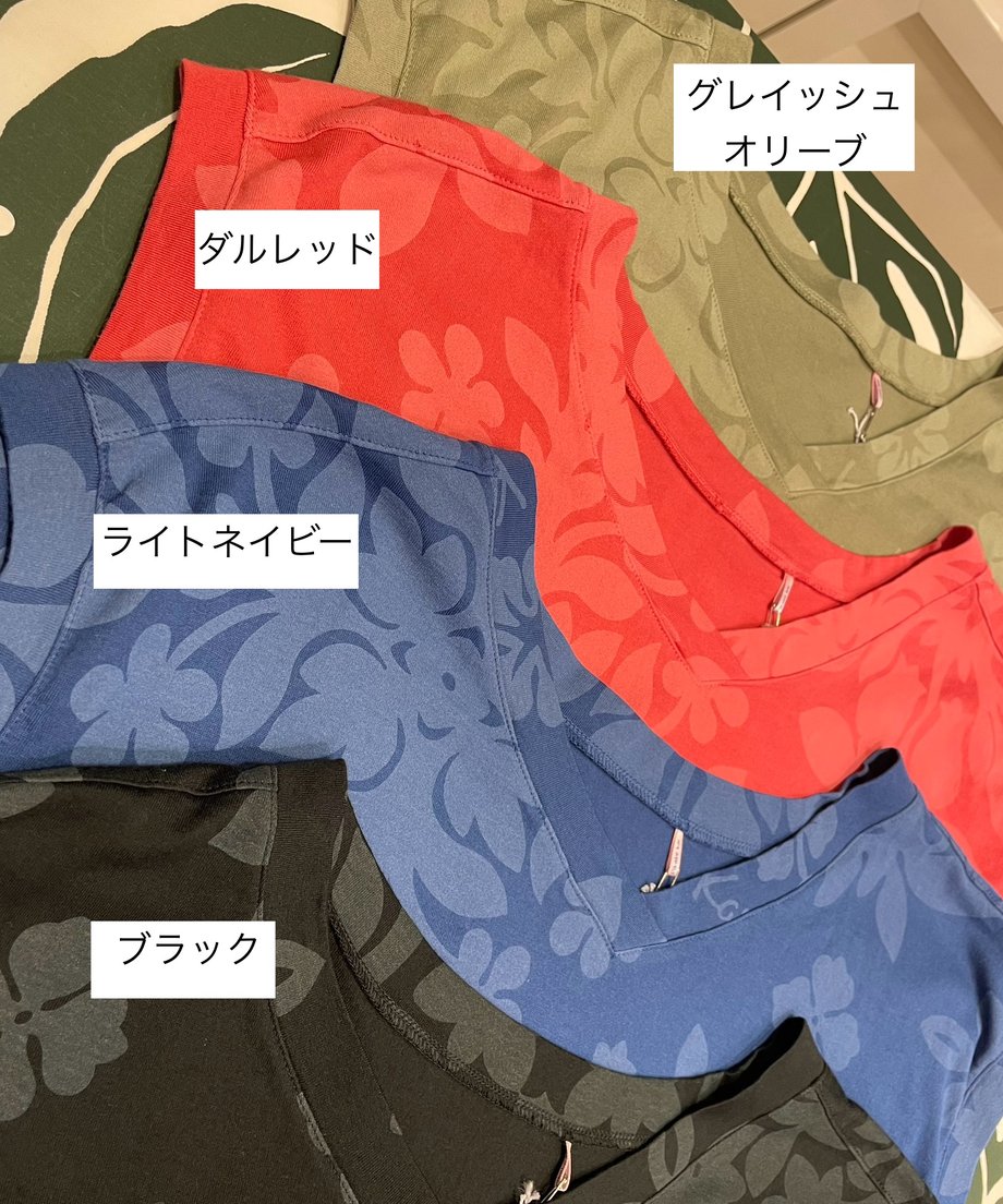 666b905922d856168e1da405
