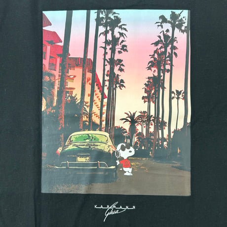 PEANUTS×VW KARMAN GHIA×JOECOOL T-SHIRTS SVW1142-268