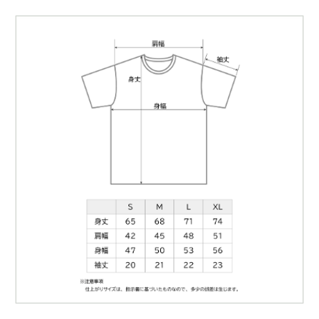 VW　レインボーTシャツ　TYPE1　BEETLE BVW8356M