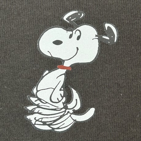 VW ×PEANUTS　コラボ　裏毛トレーナー　アビーロード SVW-002