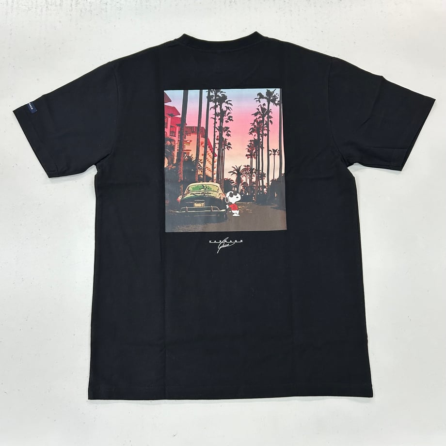 66275799ae8e9e0c5c8f3a8f