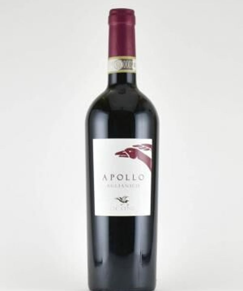 Ocone Apollo2017 オコーネ アポロ 2017 | Onda Tokyo