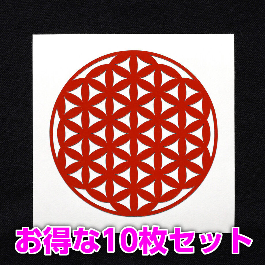 607e7233e70dc40e236e8e3b