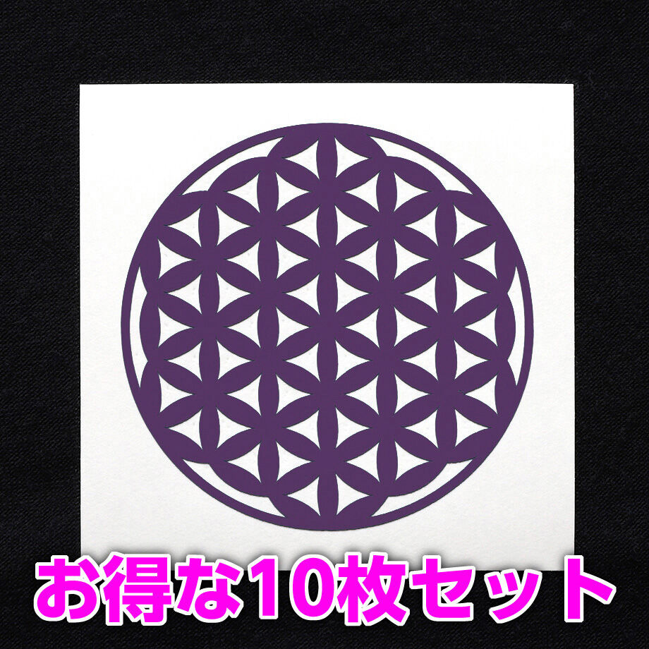 63ca52c3f1f39a0aa9f41dda