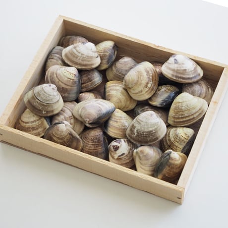 中国産はまぐり（2kg　Lサイズ）
