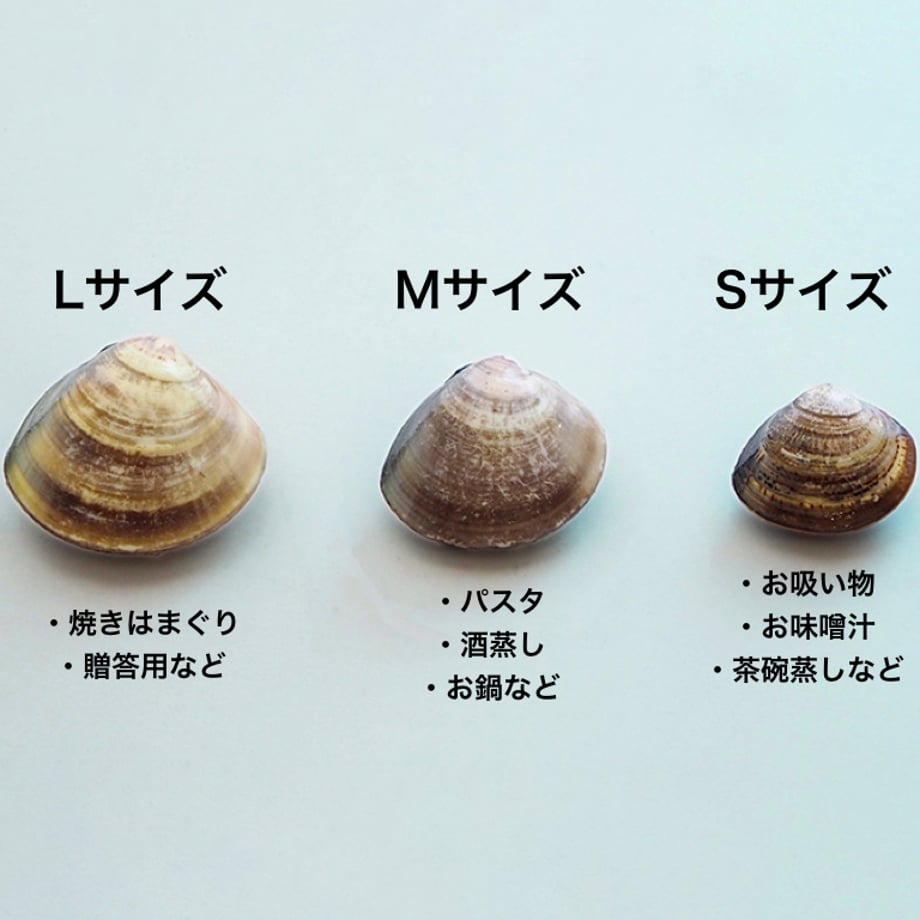 6094c8e0e70dc46fb6386a72