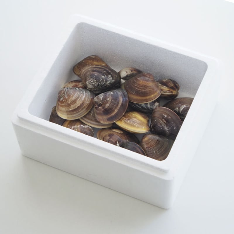 桑名産はまぐり（天然物）1kg | カクキ水産