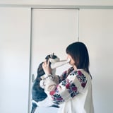 刺繍と猫と旅