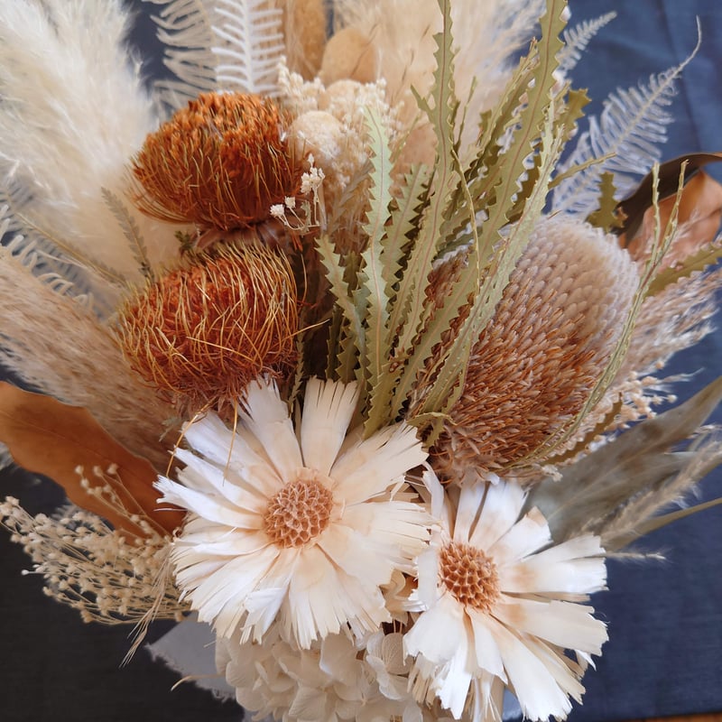 フォルモーサのおおきめブラウンスワッグ フォルモーサのおおきめブラウンスワッグ