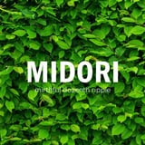 MIDORI mirthful dozenth ripple by Shirai Yusuke