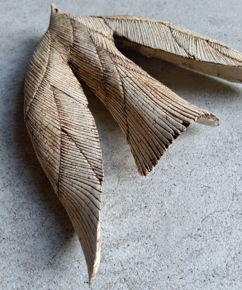 飛ぶ鳥の壁掛け 5-D | 禽々