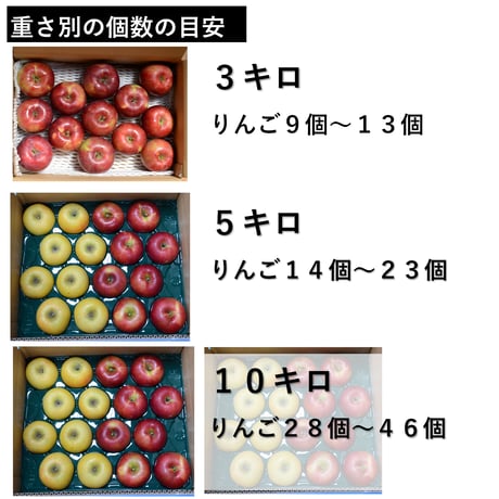 特選サンふじ（中・大玉）１０キロ