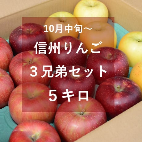 信州りんご３兄弟セット５キロ