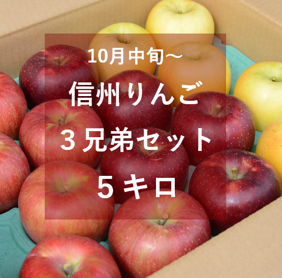 オススメ　本州宛配送限定　信州産リンゴ　３種類セット　約15キロ 信州りんご3兄弟セット5キロ | 信州よこや農園