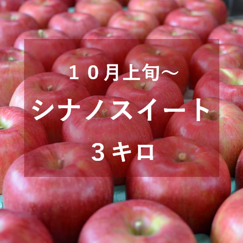 シナノスイート3キロ | 信州よこや農園