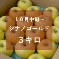 シナノゴールド３キロ