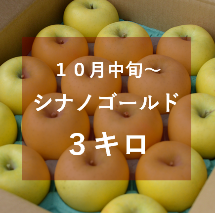 シナノゴールド3キロ | 信州よこや農園