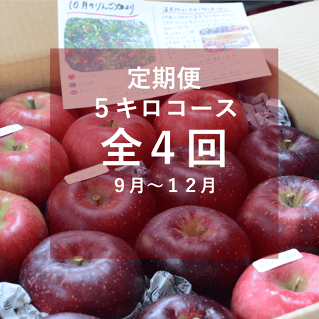 【2023年】りんご定期便５キロコース/全４回/９月～１２月（本州送料込み※）