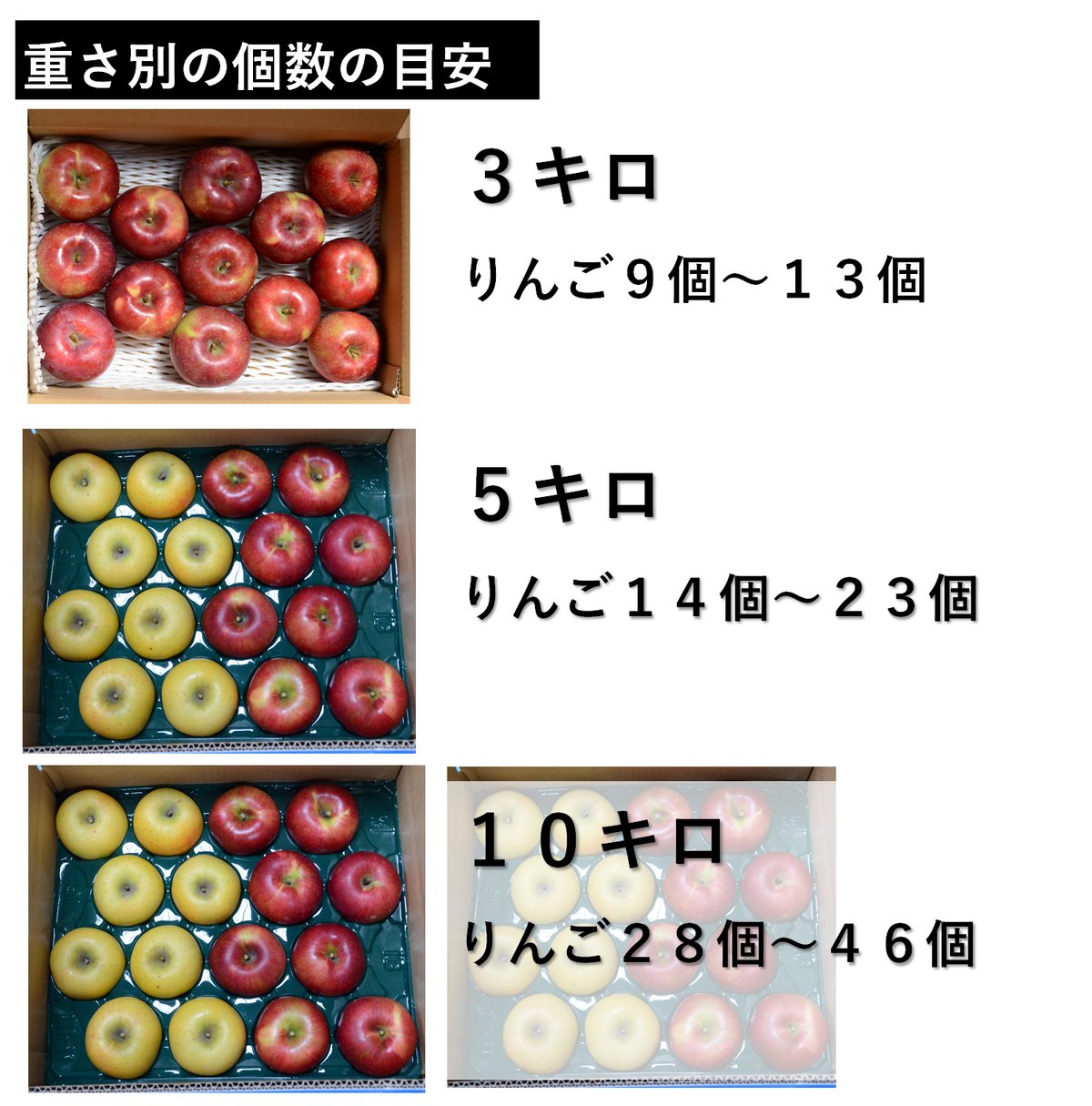 サンつがる10キロ | 信州よこや農園