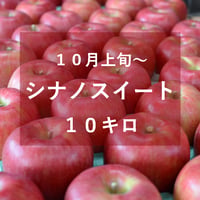 シナノスイート１０キロ