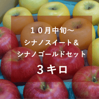 シナノスイート&シナノゴールドセット３キロ