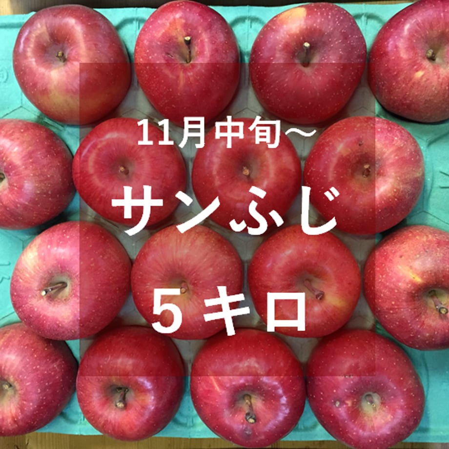 5f5ee28c3ae0f412bf787d9e