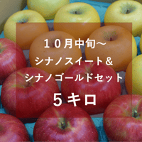 シナノスイート&シナノゴールドセット５キロ