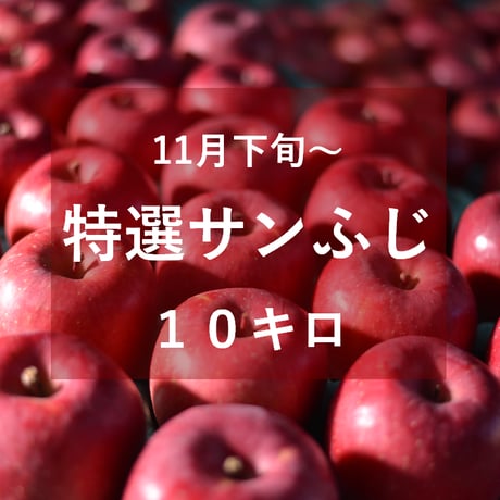 特選サンふじ（中・大玉）１０キロ