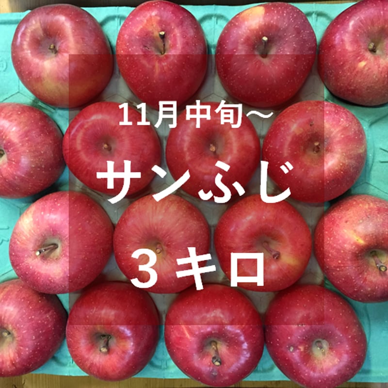 サンふじ（中・大玉）3キロ | 信州よこや農園