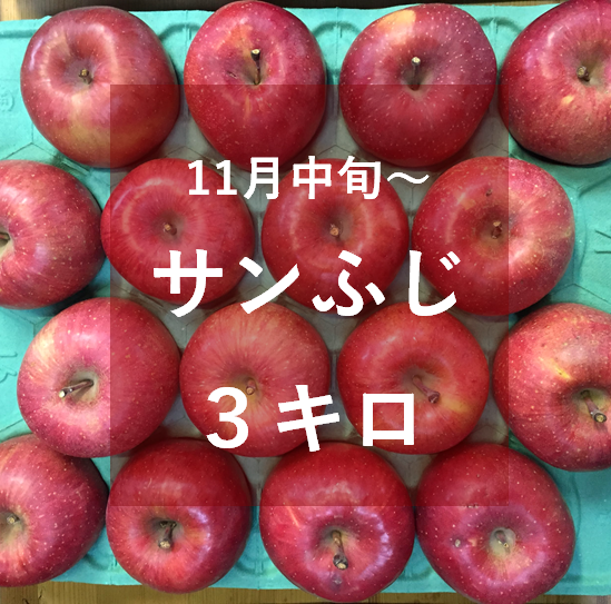 サンふじ（中・大玉）3キロ | 信州よこや農園