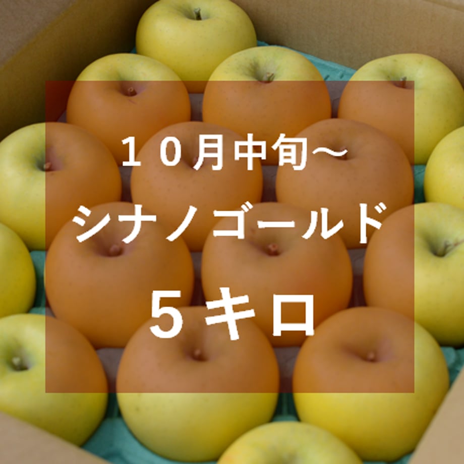5f5ae620bc44dc7baf4dc5ef