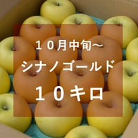 シナノゴールド１０キロ