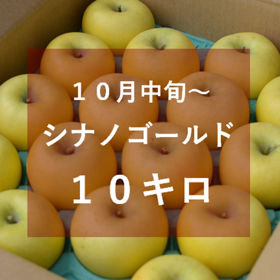 5f5ae45ef9c5902157410321