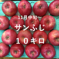 サンふじ（中・大玉）１０キロ