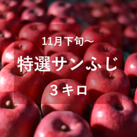 特選サンふじ（中・大玉）3キロ
