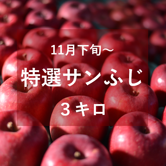 特選サンふじ（中・大玉）3キロ | 信州よこや農園