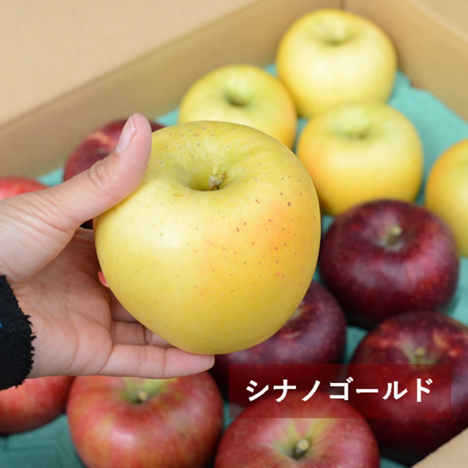 5f5b13008093396e36351b54