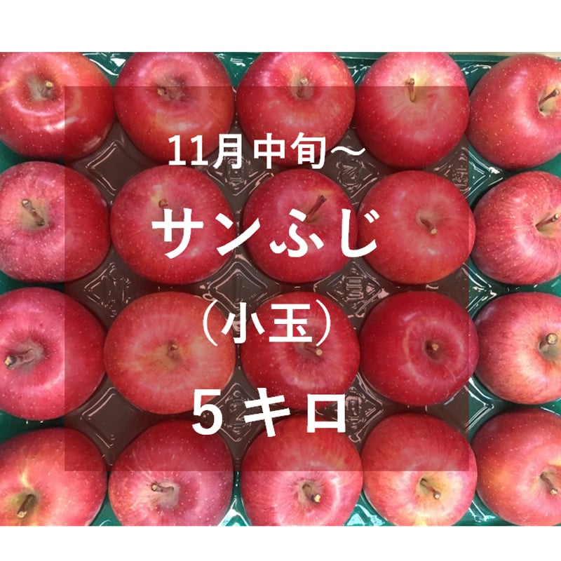 サンふじ（小玉）5キロ | 信州よこや農園