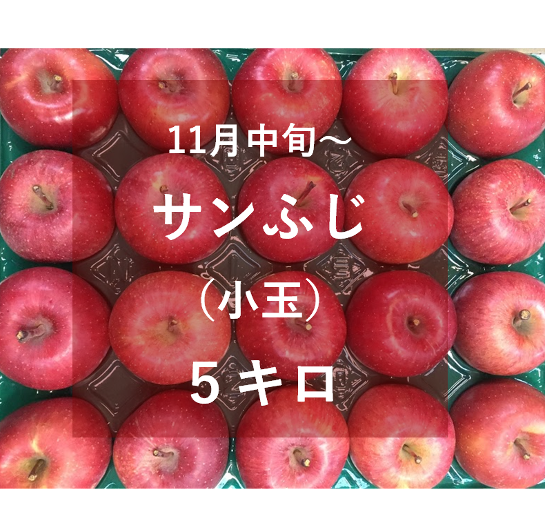サンふじ　小玉20キロ サンふじ 小玉 ご家庭用 約5キロ ｜ 果物/りんご 産直アウル 農家