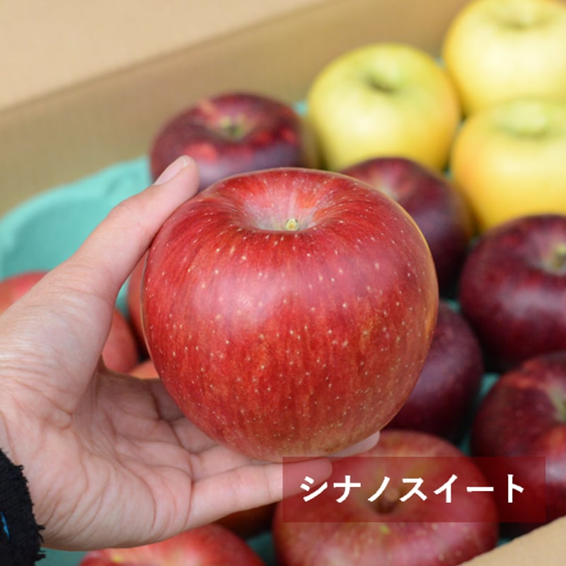 まるごとりんごセット～スイート&ゴールド～5キロ | 信州よこや農園