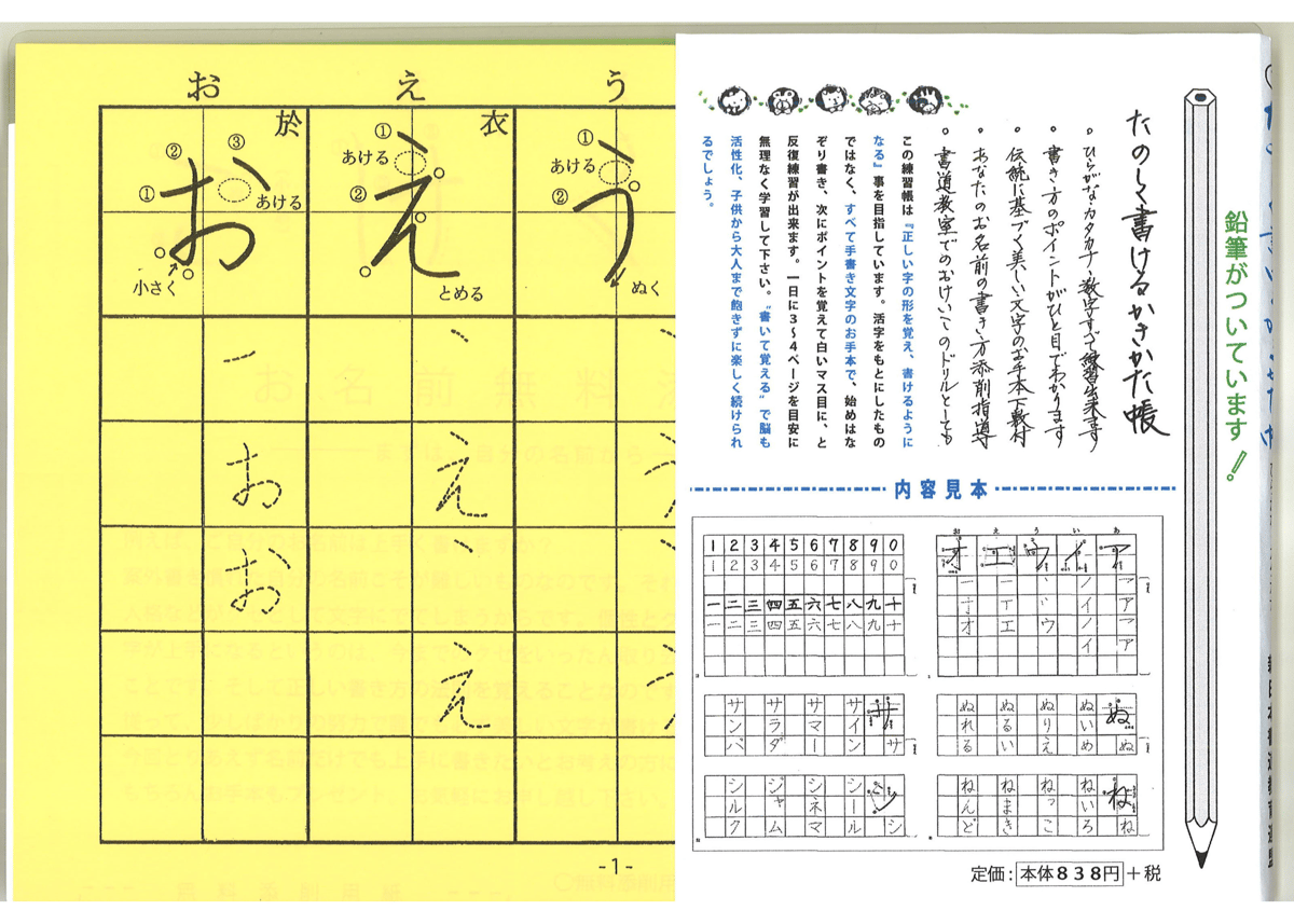 1年生 手書きひらがな✳︎カタカナ✳︎漢字練習帳 きめ細かく