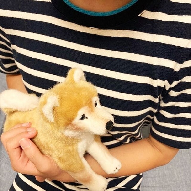ケーセン】柴犬 | MotherMoon Shop ケーセン】柴犬 | MotherMoon Shop