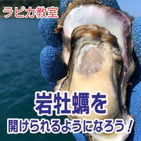 岩牡蠣を開けられるようになろう！【7/25土曜10:30~/2026夏】
