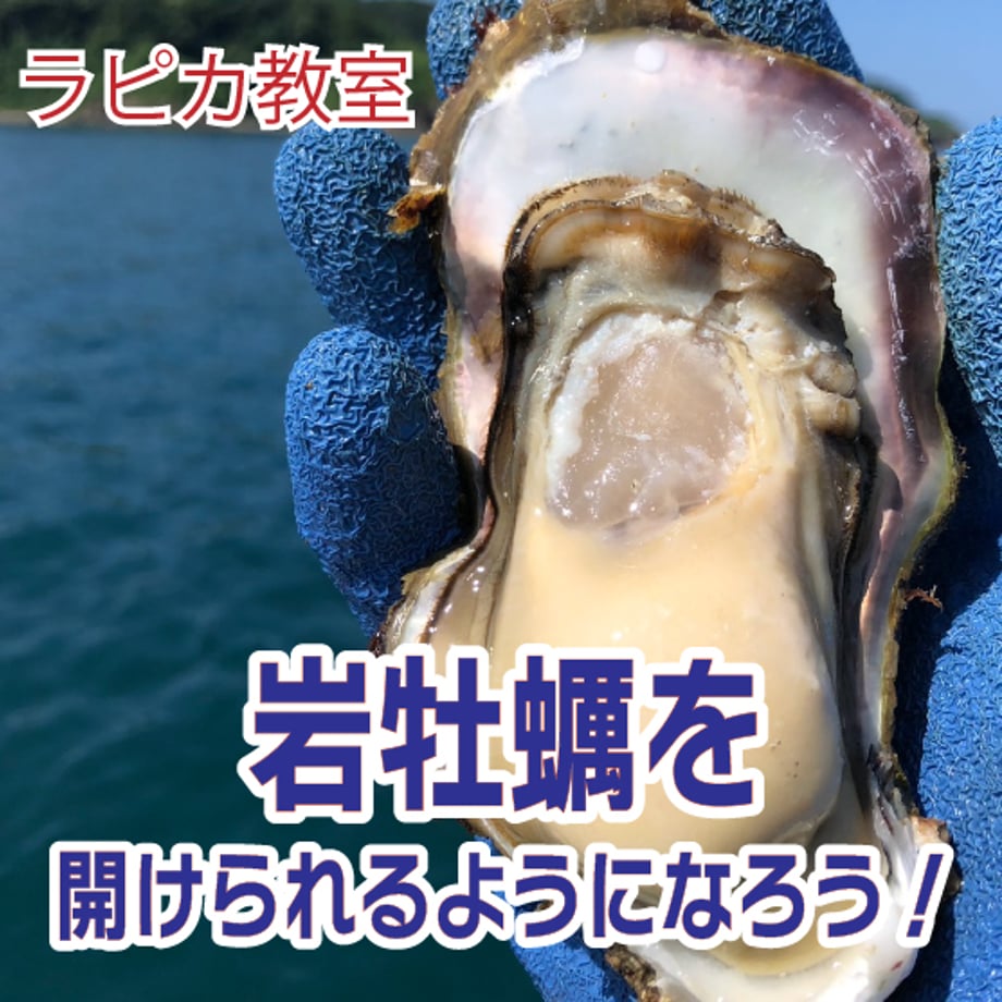 6a06b52da67f0345459ab19b